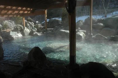 芦安温泉岩園館
