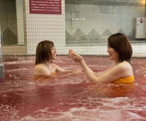 フォトアルバム1