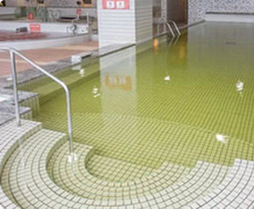 フォトアルバム6