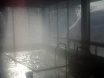 新見温泉（旧 秘湯の宿 新見本舘）（閉館しました）