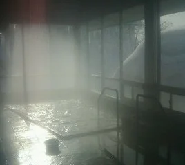 新見温泉(旧 秘湯の宿 新見本舘)(閉館しました)