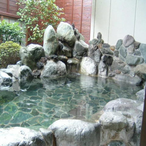 Japanese-style Inn Miné - Ishiwa - Yamanashi