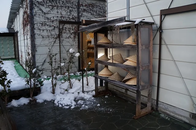 フォトアルバム12