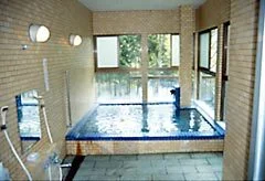 Ashiasu Onsen Ryokan Hakuunso - Yamanashi