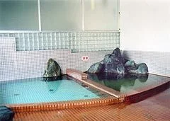 韮崎船山温泉 ホテル舟山 - 山梨県