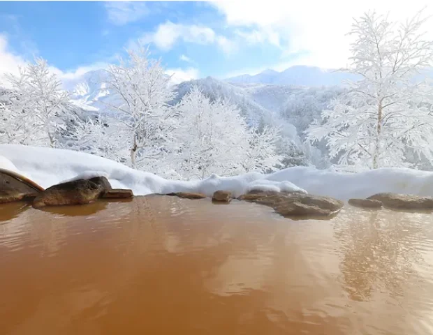 十勝岳温泉 湯元凌雲閣