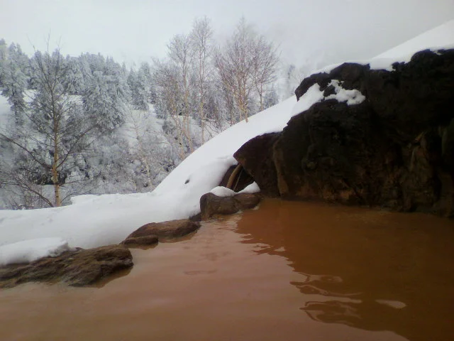 十勝岳温泉 湯元凌雲閣