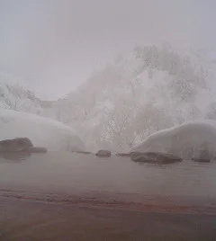 十勝岳温泉 湯元凌雲閣