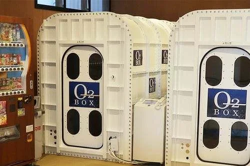 フォトアルバム8