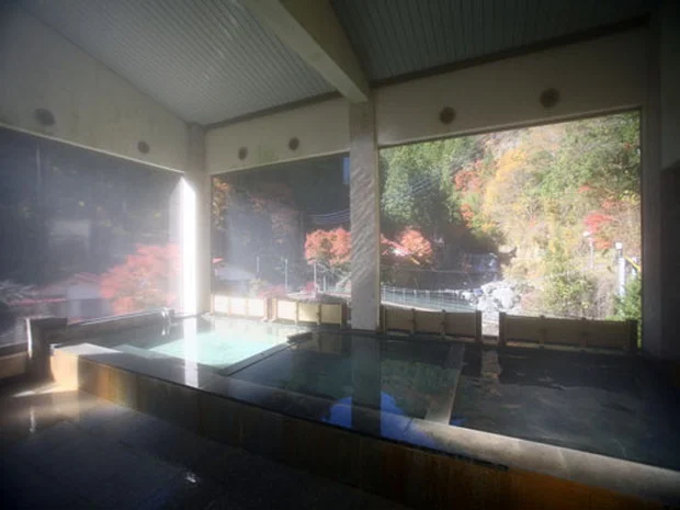 十谷上湯温泉 源氏の湯（閉館しました）