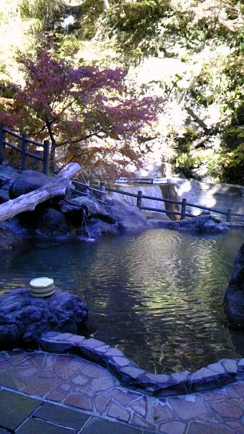 十谷上湯温泉 源氏の湯（閉館しました）