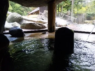 十谷上湯温泉 源氏の湯（閉館しました）