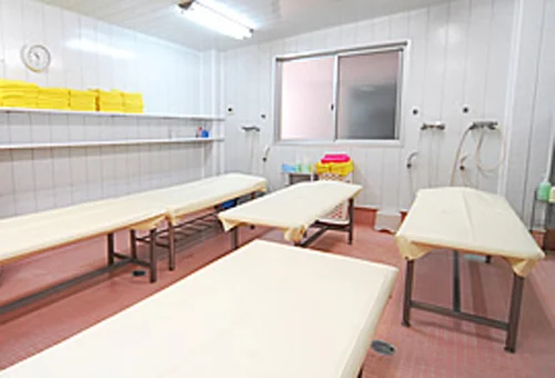 フォトアルバム29