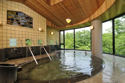 Forest Resort Yamanakako Syuuzanso - Yamanashi