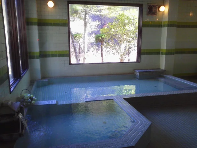 桃の木温泉 別館山和荘