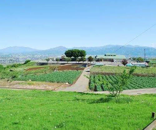 フォトアルバム8