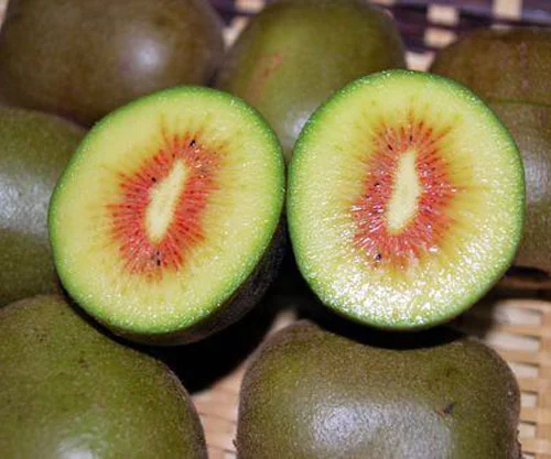 フォトアルバム10