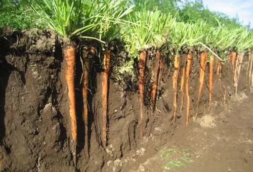 フォトアルバム12