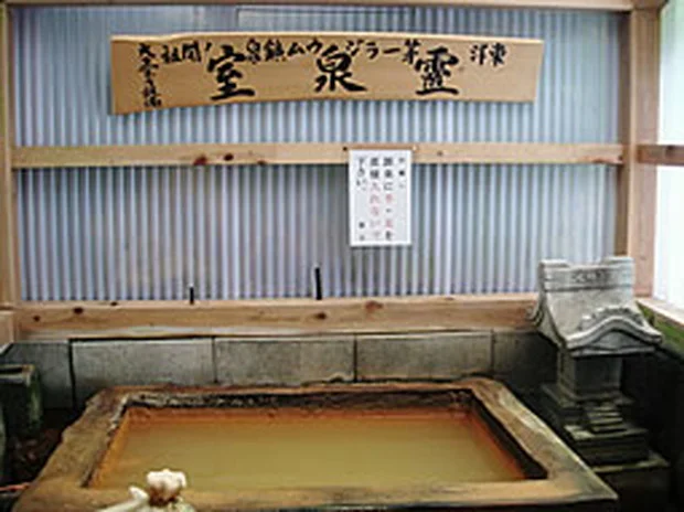 不老閣