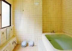 Shimobe Onsen Izumi Ryokan - Yamanashi