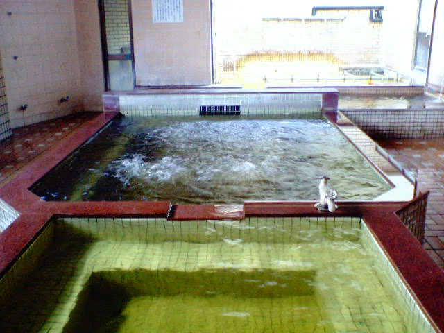 ホテル湯王温泉