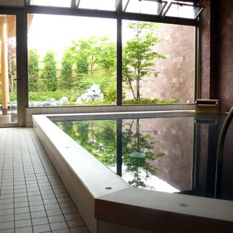 Yamanakako Fuji Matsubara Onsen Fuji Matsubaraen Hotel - Yamanashi