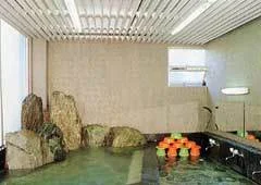 塩山温泉 井筒屋旅館 - 山梨県