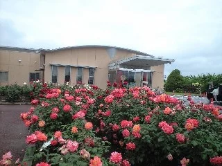 みさかの湯