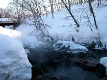 からまつの湯(閉館しました)