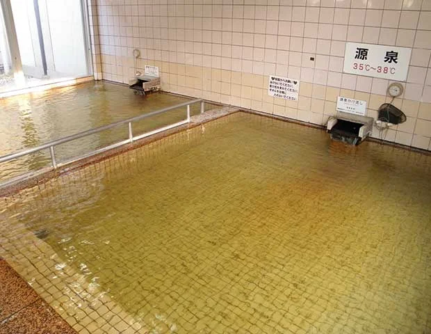 南アルプス市営温泉 樹園