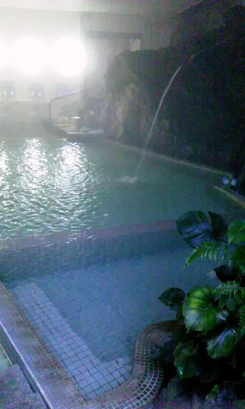 三富温泉郷 白龍閣
