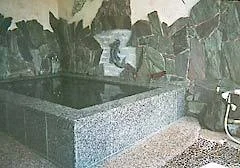 Fujikawaguchiko Onsen Akaishi Ryokan - Yamanashi