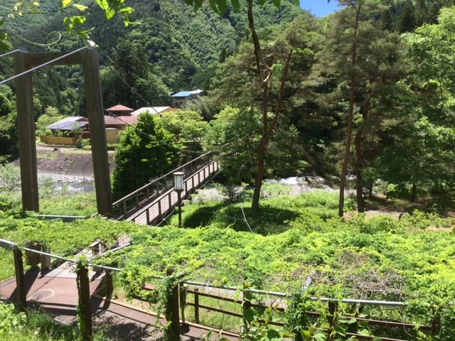 のめこい湯