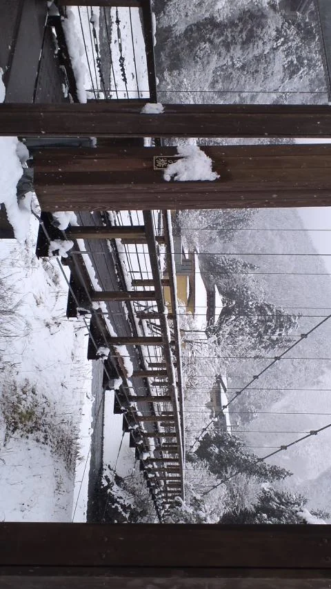 のめこい湯