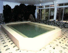 Minobu Onsen Hotel - Yamanashi