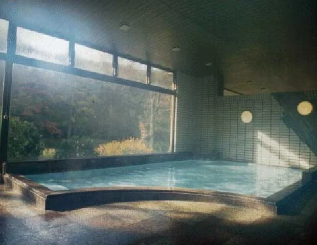 忍野温泉(閉館しました)