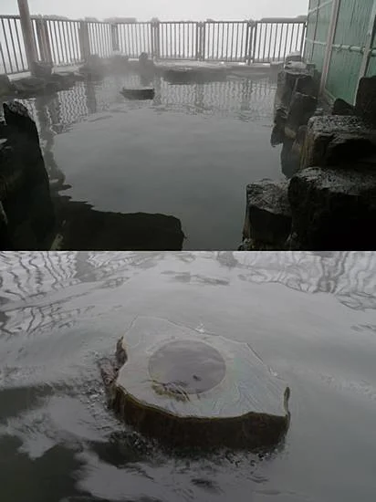 ナステビュウ湯の山