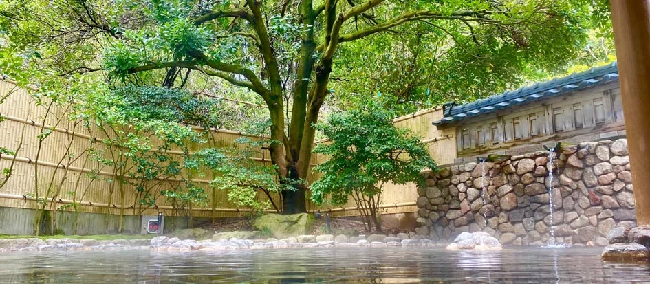 トップメイン画像4