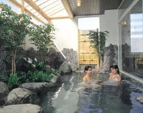 Echigo Yuzawa Onsen Hotel Yuzawa Yuzawa Denkiya - Niigata