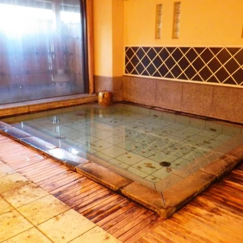 妙高温泉 高橋旅館 ゆきつばき - 新潟県