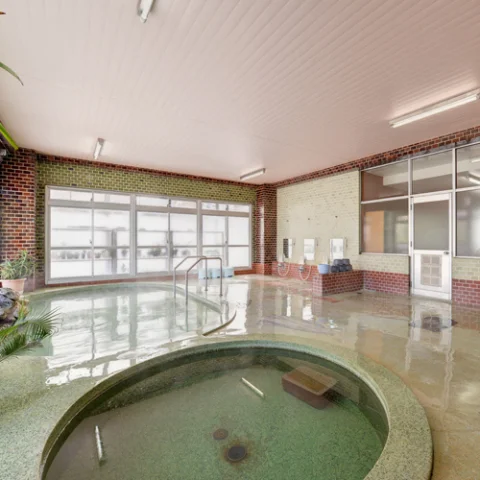 Akakura Onsen Akakura Park Hotel - Niigata