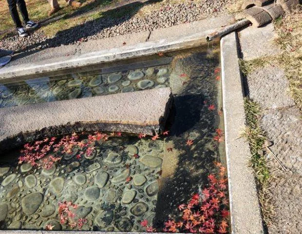 いもり池あし湯(閉館しました)