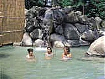 Akakura Onsen Hotel Takeda - Niigata