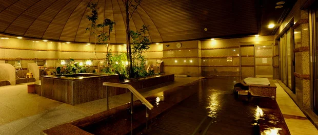 大観荘せなみの湯（たいかんそう）