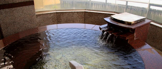 大観荘せなみの湯（たいかんそう）