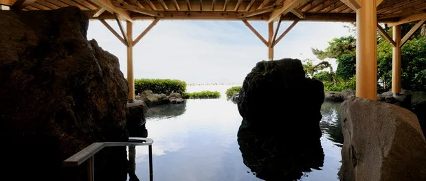 大観荘せなみの湯（たいかんそう）