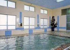 Echigo Yuzawa Onsen Hirokawa Hotel - Niigata