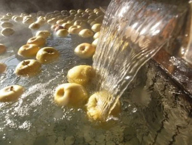 新穂潟上温泉(にいぼかたがみおんせん)