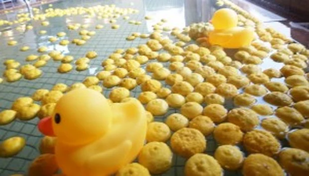 新穂潟上温泉(にいぼかたがみおんせん)