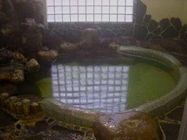 新穂潟上温泉(にいぼかたがみおんせん)